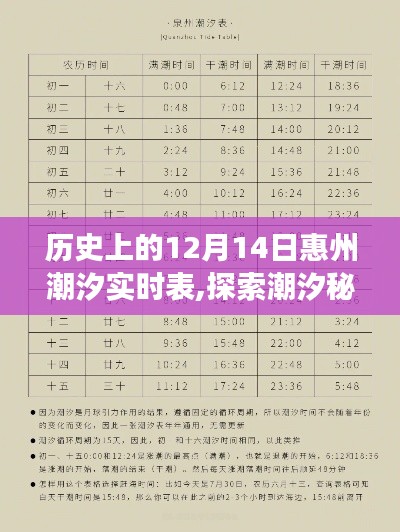 历史上的12月14日惠州潮汐之旅，潮汐实时表与内心的宁静探索