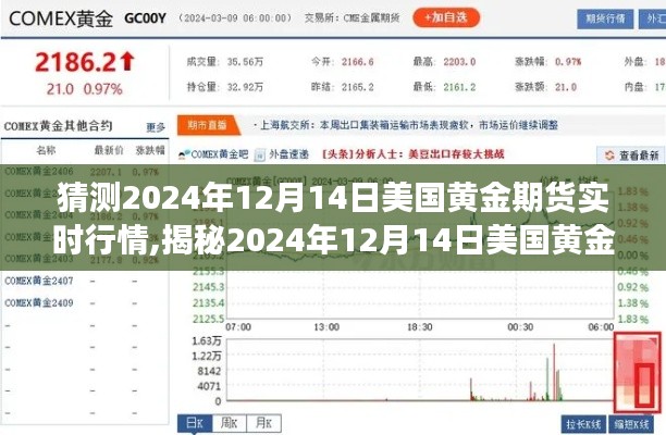 2024年12月14日美国黄金期货行情预测与实时市场动态解析，洞悉市场动向揭秘未来走势！