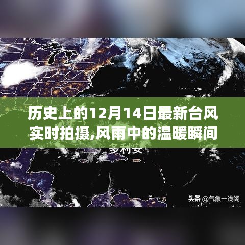 风雨中的温暖瞬间，记录特殊台风下的故事——12月14日实时拍摄纪实