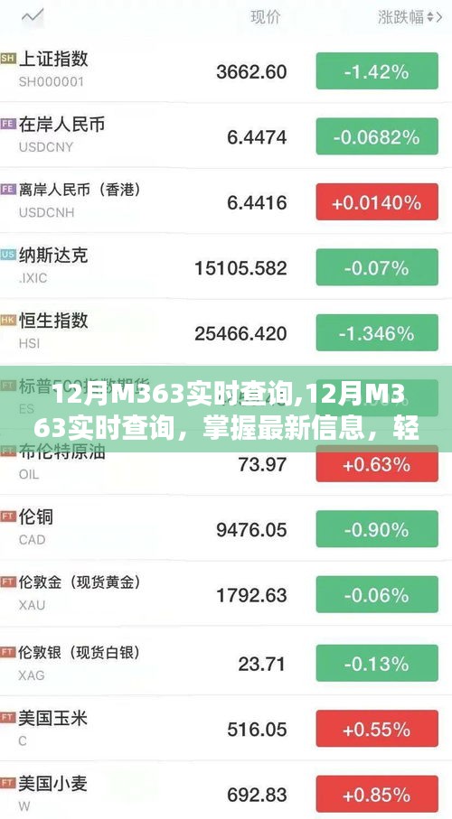 12月M363实时查询，最新信息一手掌握，轻松管理