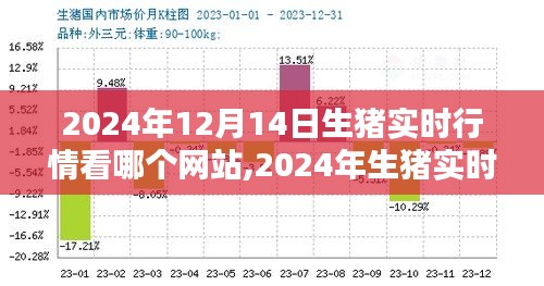 2024年生猪实时行情平台深度评测，哪个网站最值得信赖？