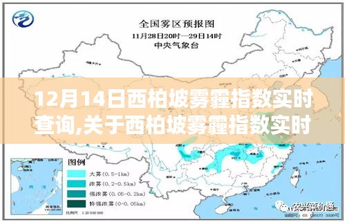 2024年12月16日 第8页