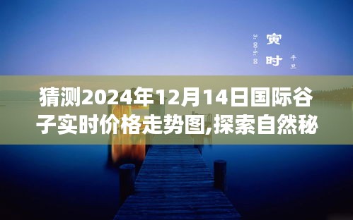 探索自然秘境，预见谷子未来，心灵之旅与谷价走势图展望（2024年12月）