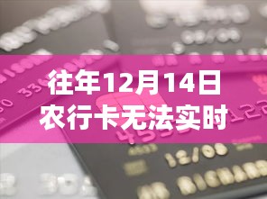 2024年12月17日 第11页