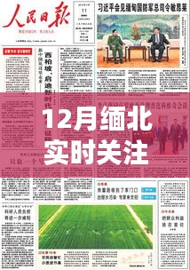 12月缅北舆论热点深度解析与实时关注新闻报道