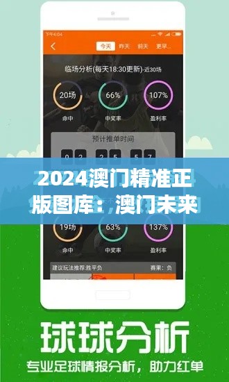 2024澳门精准正版图库：澳门未来视觉艺术的文艺盛宴