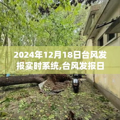 台风发报实时系统与风的奇妙约会，探索自然美景之旅（2024年12月18日）