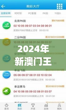 2024年新澳门王中王开奖结果,高度协调策略执行_Prime3.913