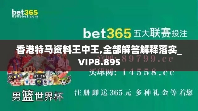 香港特马资料王中王,全部解答解释落实_VIP8.895