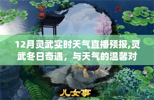 灵武冬日奇遇，实时天气直播与朋友的深厚情谊体验