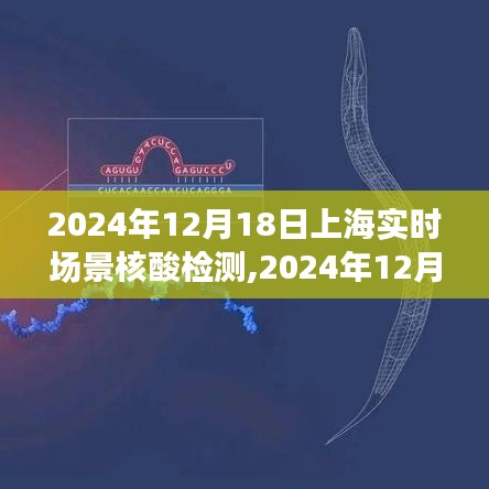 上海实时场景核酸检测，前沿技术助力城市防控的新篇章（2024年12月18日）