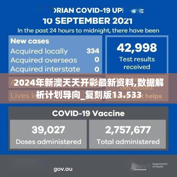 2024年新澳天天开彩最新资料,数据解析计划导向_复刻版13.533