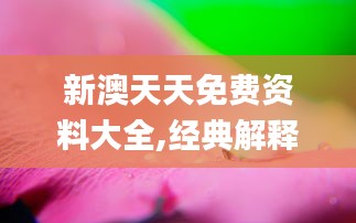 新澳天天免费资料大全,经典解释落实_桌面款14.367