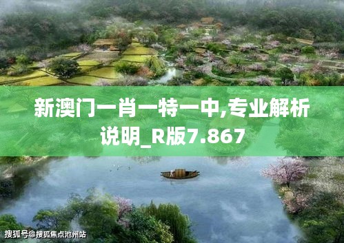 新澳门一肖一特一中,专业解析说明_R版7.867