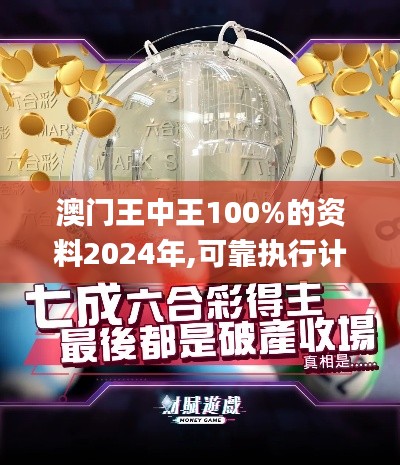 澳门王中王100%的资料2024年,可靠执行计划_Phablet18.990