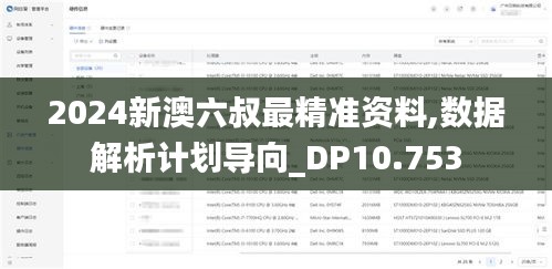 2024新澳六叔最精准资料,数据解析计划导向_DP10.753