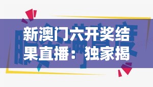 新澳门六开奖结果直播：独家揭秘幸运时刻