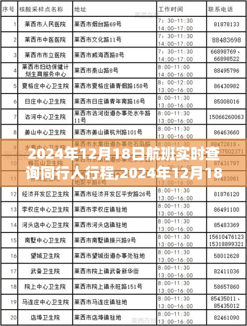 2024年12月18日航班同行人实时查询，追踪时代旅程的便捷工具