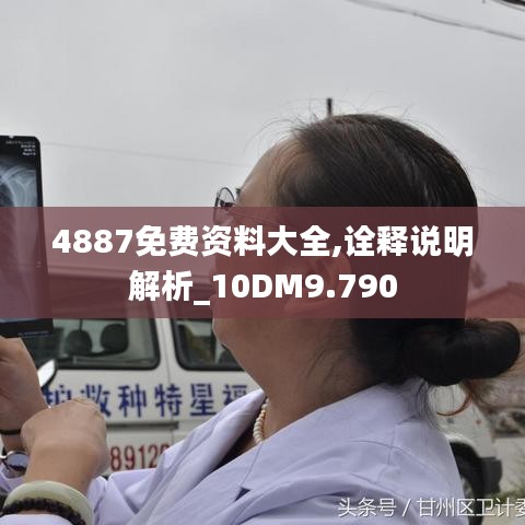 4887免费资料大全,诠释说明解析_10DM9.790