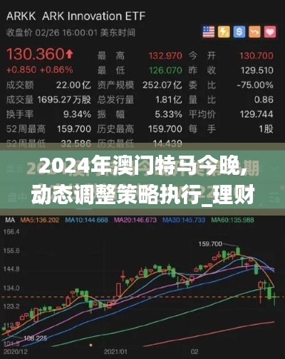 2024年澳门特马今晚,动态调整策略执行_理财版10.648