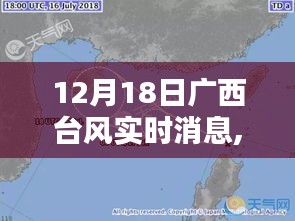 广西遭遇台风袭击，最新实时消息与深度解析（12月18日）