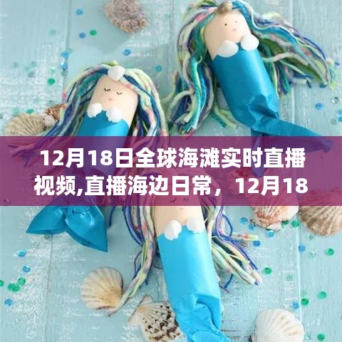 12月18日全球海滩直播，海洋见证爱与陪伴的温馨瞬间