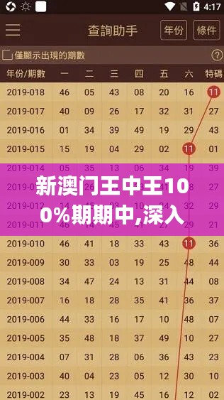 新澳门王中王100%期期中,深入数据执行计划_Gold3.598