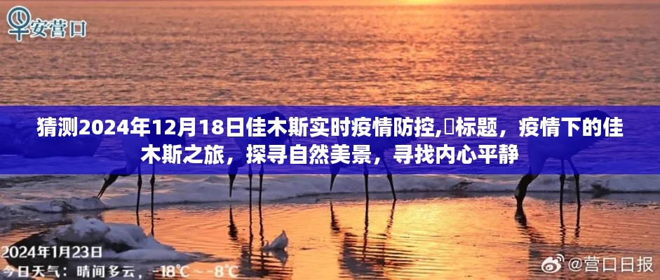 疫情下的佳木斯之旅，探寻自然美景与内心平静，预测佳木斯疫情防控动态（2024年12月18日）