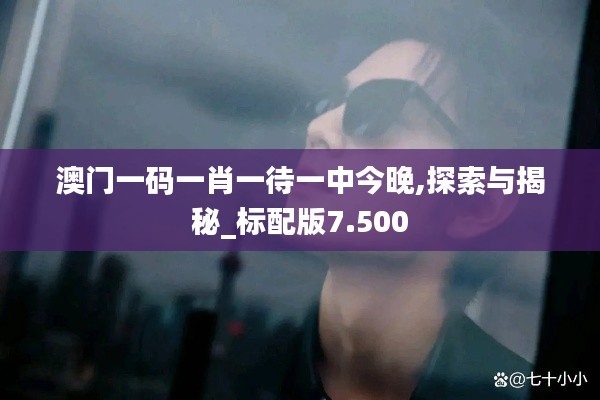 澳门一码一肖一待一中今晚,探索与揭秘_标配版7.500