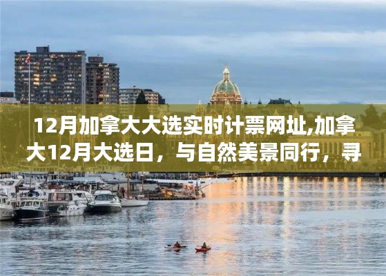 加拿大12月大选日与自然美景同行的心灵静谧之旅实时计票网址揭晓