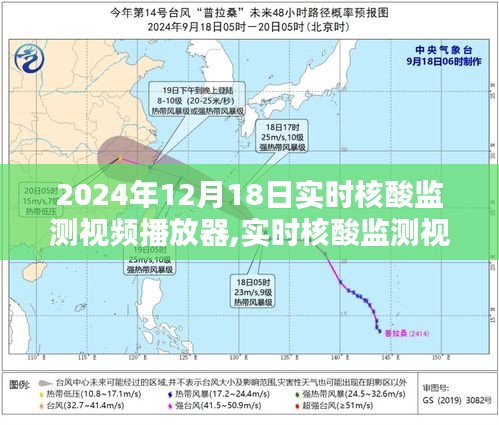 实时核酸监测视频播放器深度解析与用户体验报告，功能、性能及用户体验一网打尽（2024年12月版）