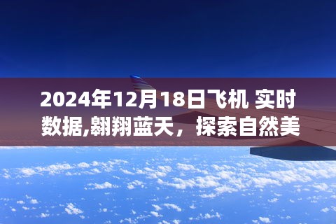 蓝天之旅，探索自然美景的飞行数据纪实——2024年12月18日飞机实时数据