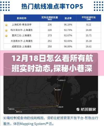 探秘航班实时动态情报站，追踪蓝天轨迹的秘境之旅（12月18日）