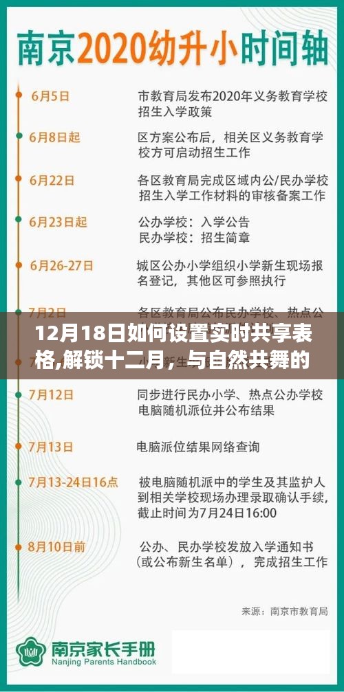 解锁十二月，共享表格记录旅行足迹的实时设置指南