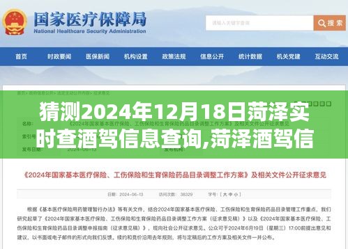 未来视角解析，菏泽酒驾信息查询系统的发展与趋势预测（2024年视角）