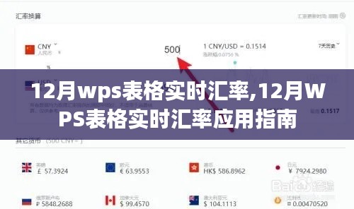 12月WPS表格实时汇率应用指南，操作指南与实时更新功能解析