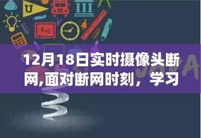 2024年12月22日 第9页