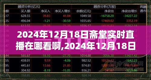 斋堂直播指南，如何观看与讨论2024年12月18日的斋堂实时直播