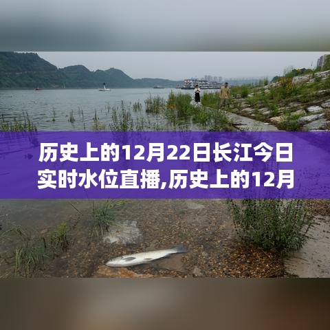 历史上的12月22日长江实时水位直播全面评测与介绍，今日水位直播及深度分析