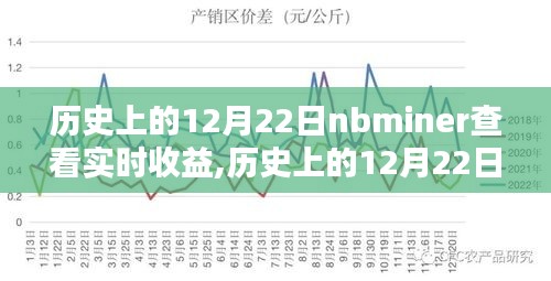 历史上的12月22日nbminer收益查看指南，实时收益查看方法与指南