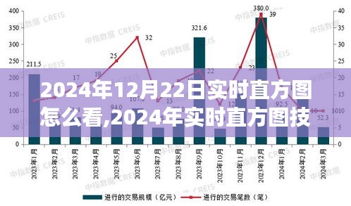 深度解析，如何解读2024年12月22日市场走势的直方图应用与实时技术评测