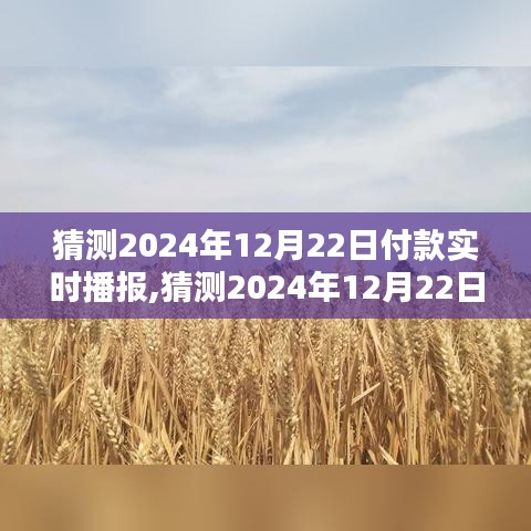 2024年12月22日付款实时播报产品全面评测与介绍