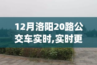 12月洛阳20路公交车实时动态，畅游古都的便捷交通选择