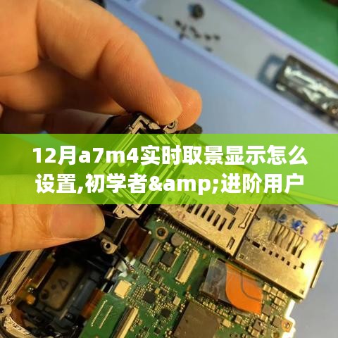 初学者与进阶用户适用的12月A7M4实时取景显示设置指南