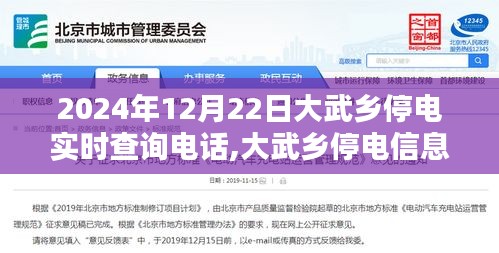 大武乡停电实时查询指南，2024年12月22日查询电话及步骤详解