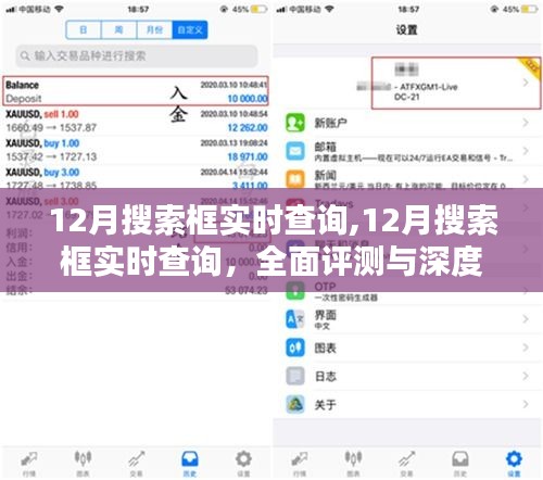 12月搜索框实时查询深度解析与全面评测