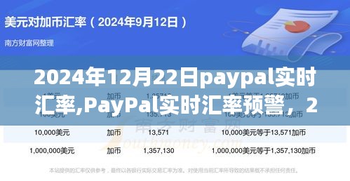 2024年12月22日PayPal实时汇率走势分析与预测，汇率预警及市场动态