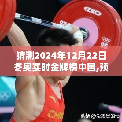 2024年冬奥会金牌榜中国预测指南，详细步骤分析与展望