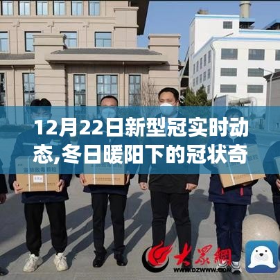 冬日暖阳下的奇迹，新型冠实时动态与美景邂逅之旅