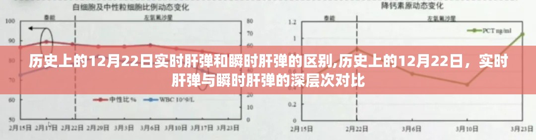 历史上的12月22日，实时肝弹与瞬时肝弹的深入对比与区别探讨